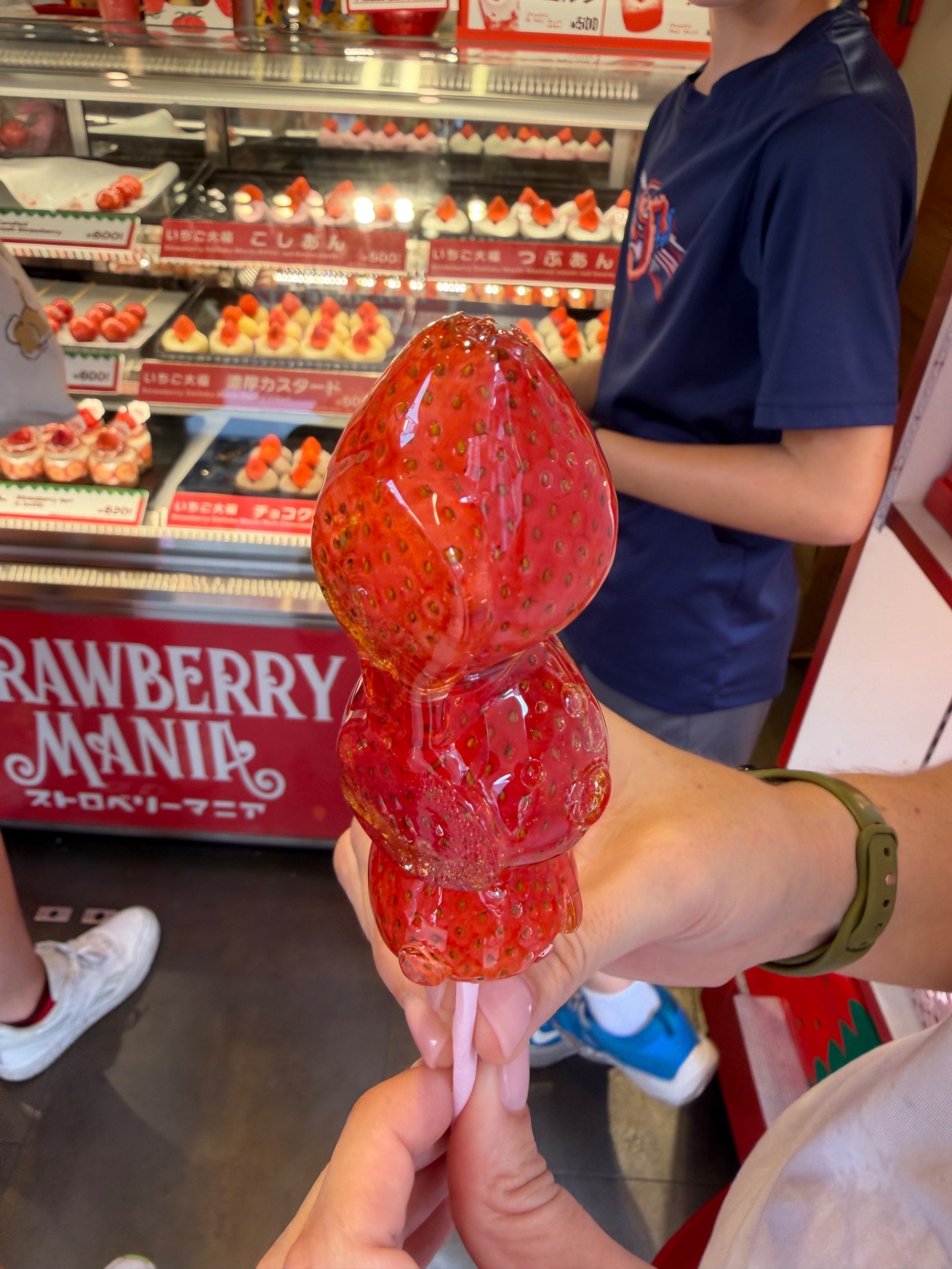 Culinary Exploration in Kamakura: Sweet Strawberries & Savory Ethnic Curry