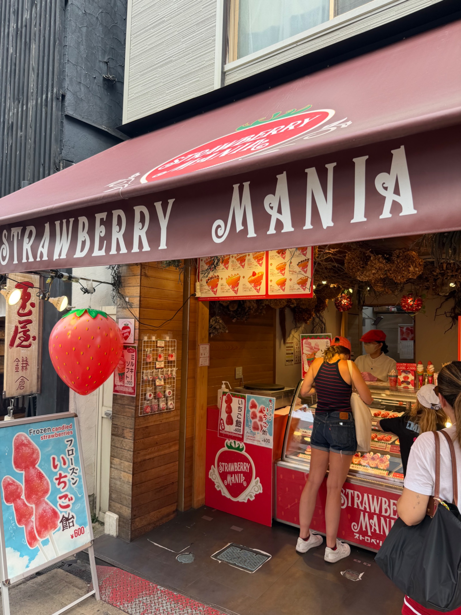Culinary Exploration in Kamakura: Sweet Strawberries & Savory Ethnic Curry
