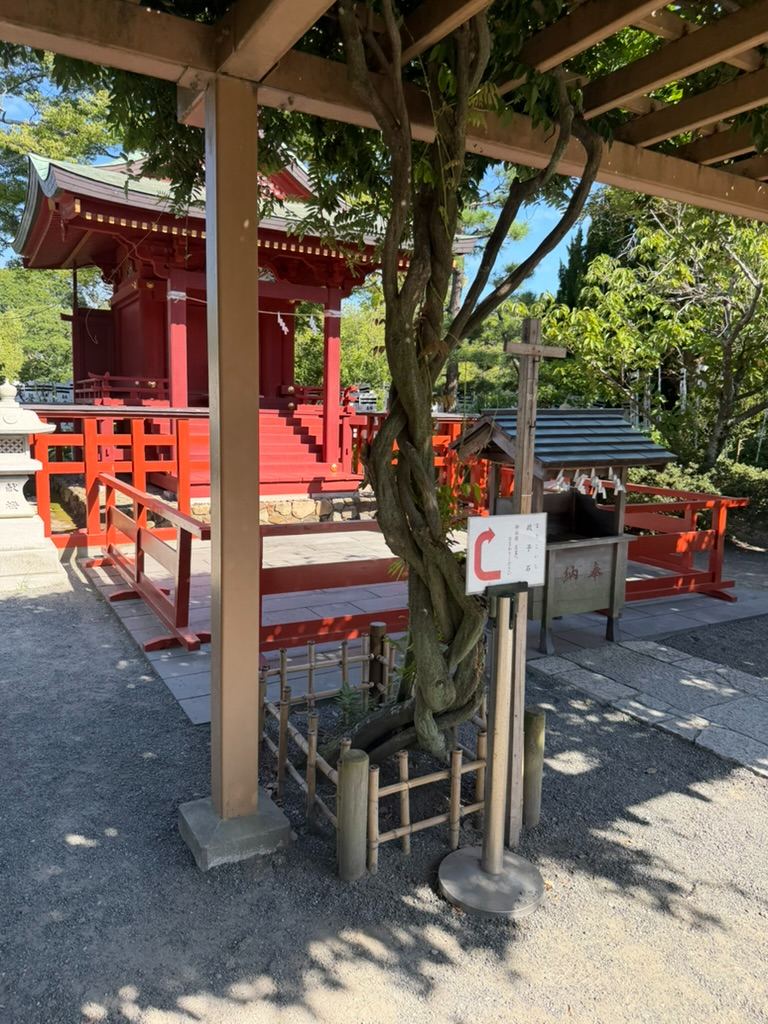 Exploring Kamakura: The Ultimate Easy Day Trip from Tokyo ⛩️🌊