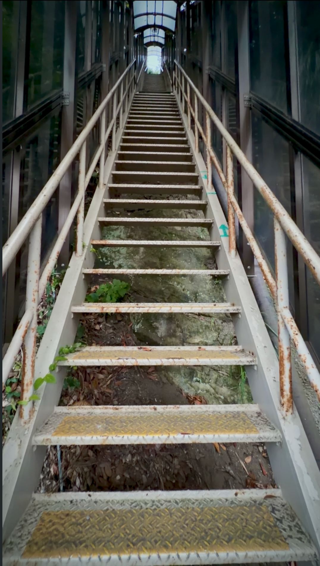 Finding the Hidden Gem: The Secret Walk to Base Overlook 🚶‍♂️⚓