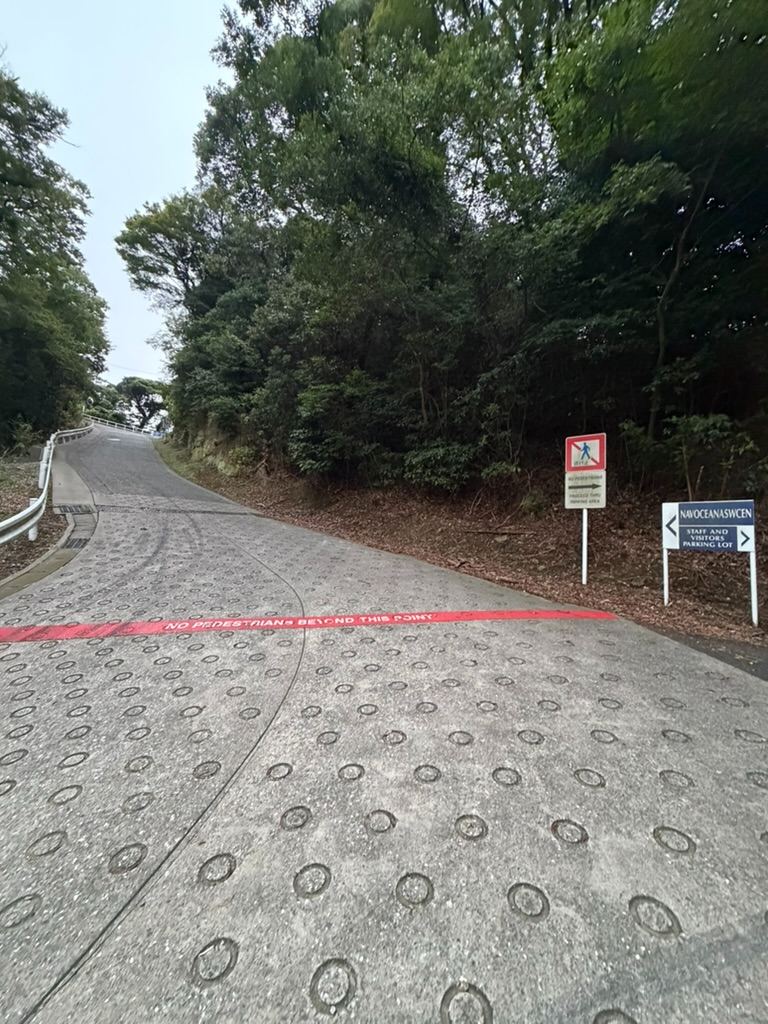 Finding the Hidden Gem: The Secret Walk to Base Overlook 🚶‍♂️⚓